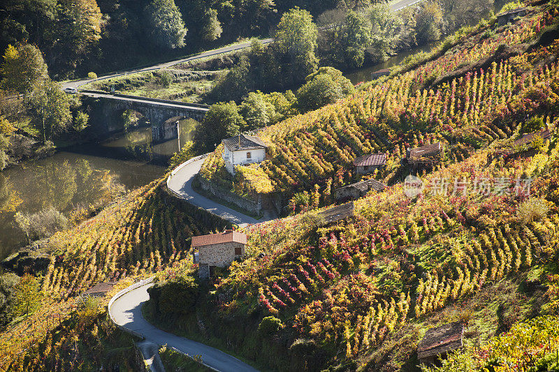 Ribeira sacra vine检察官和river Mino，加利西亚，西班牙。